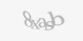 Защитный код