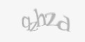 Защитный код