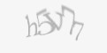 Защитный код